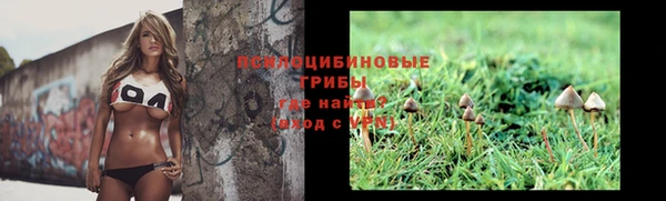 PSILOCYBIN Балабаново