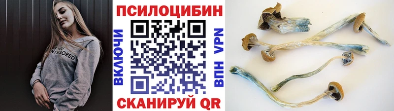 Галлюциногенные грибы мицелий  hydra ссылки  Горячий Ключ 