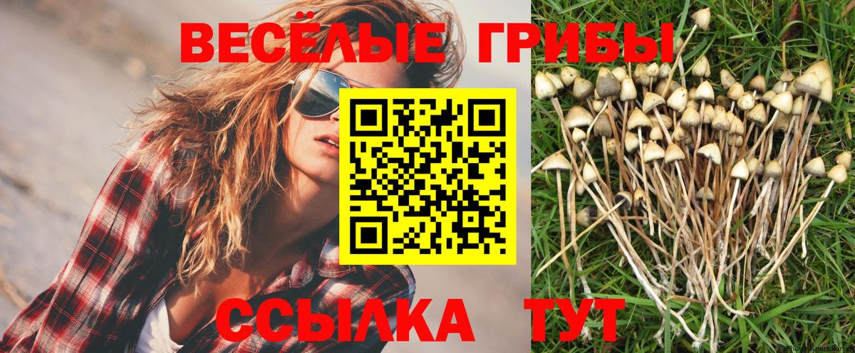 Галлюциногенные грибы Psilocybine cubensis  Вход с VPN  Горячий Ключ 