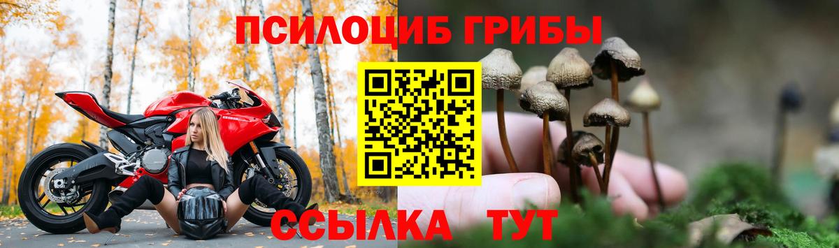 Псилоцибиновые грибы Magic Shrooms Горячий Ключ