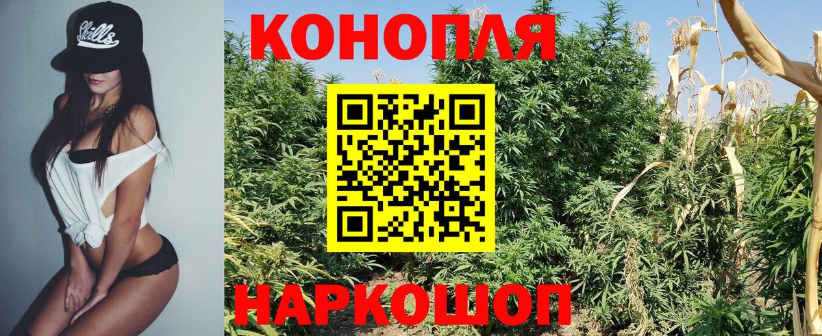Бошки марихуана VHQ Горячий Ключ
